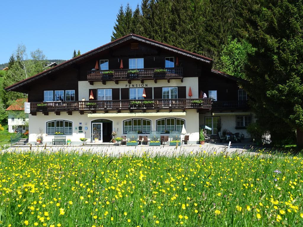 Pension Bayrhammer Файстенау Экстерьер фото